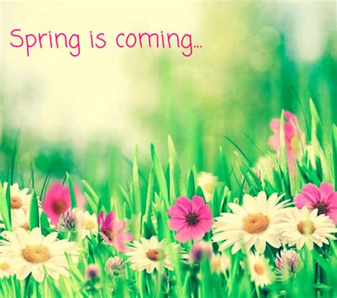 Happy Easter, Hello Spring Pictures, Photos, and Images for Facebook ...