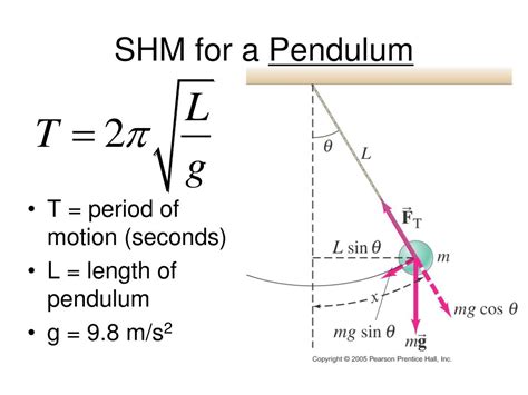 Image result for Example of SHM