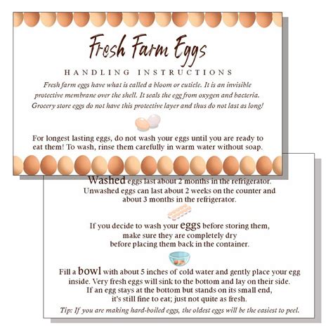 Buy MAOSH Fresh Farm Eggs Handling Instructions, Egg Handling ...