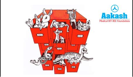 Taxonomic Hierarchy in Biology: Definition, Types and Importance | AESL