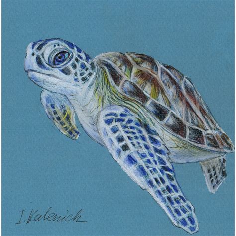 Sea turtle. Original colored pencil drawing 6x6'' - Inspire Uplift