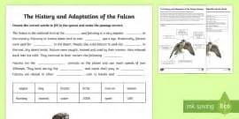 Falcon Labelling Task | Key Adaptation Worksheet & Answers
