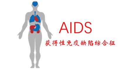 什么是艾滋病的传播途径_艾滋病_北京京城皮肤医院(北京医保定点机构)
