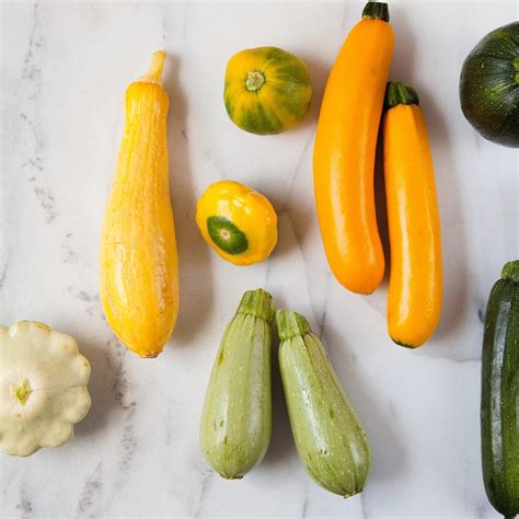 When Are Summer Squash Ready To Pick at Hattie Whittingham blog