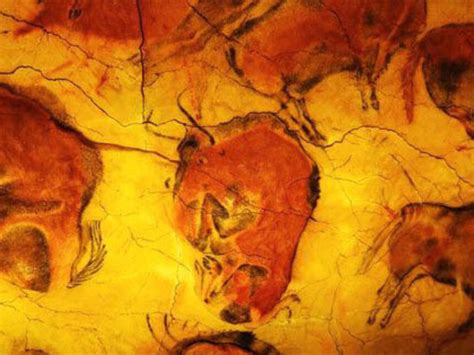 The Altamira cave | Meer