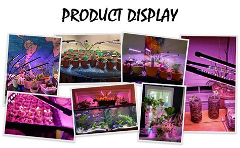 Adrohai Plant Grow Lights For Indoor Plants