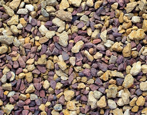 Raspberry Ripple 的图像结果