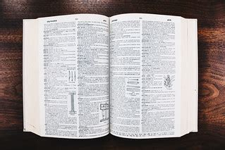 Dictionary JavaScript 的图像结果