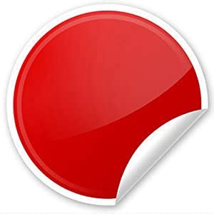 Indian Royals Stone Bricks Design Vinyl self Adhesive Peel and Stick ...