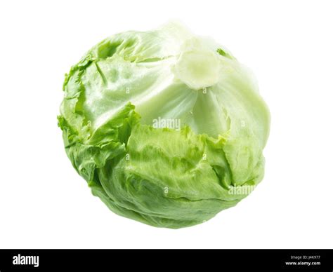 Lettuce Head