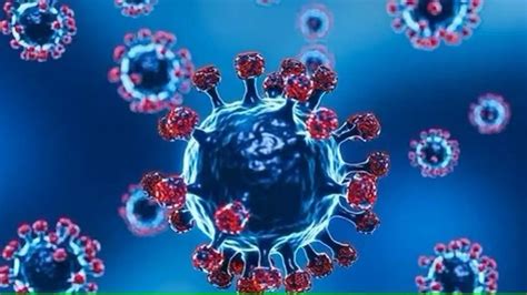 What is Disease X?