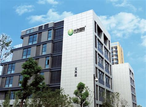 Company Overview - Wuhan Opti-Moxibustion International Trade Co., Ltd.