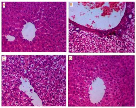 Synthesis, Characterization, and Anti-diabetic Activity of Some Novel ...