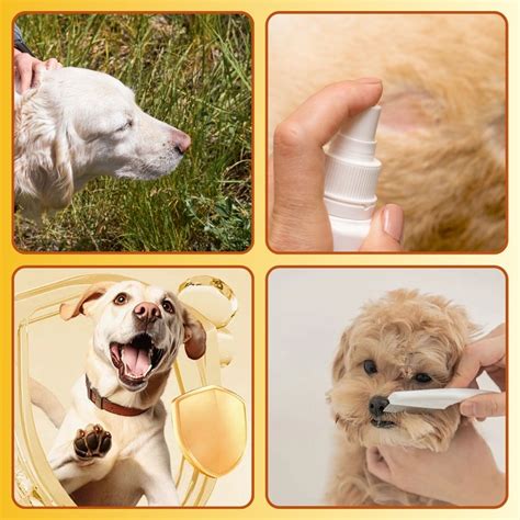 Pet Flea and Tick Spray (100ml) (Pack of 2) with FREE Pet Flea and Tic ...