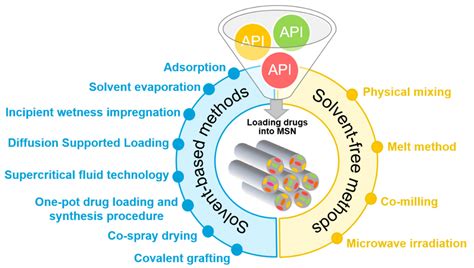 Mesoporous Silica Particles as Drug Delivery Systems—The State of the ...