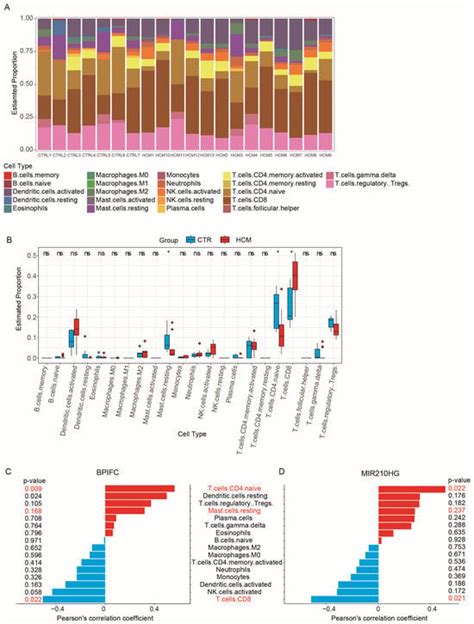 Transcriptomic Analyses and Experimental Validation Identified Immune ...