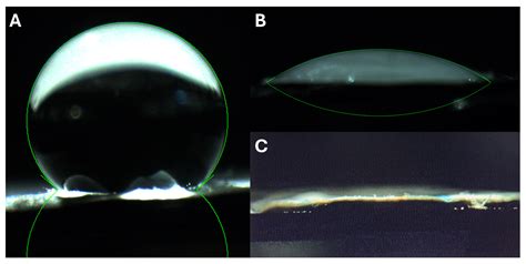 Electrospun Collagen-Coated Nanofiber Membranes Functionalized with ...