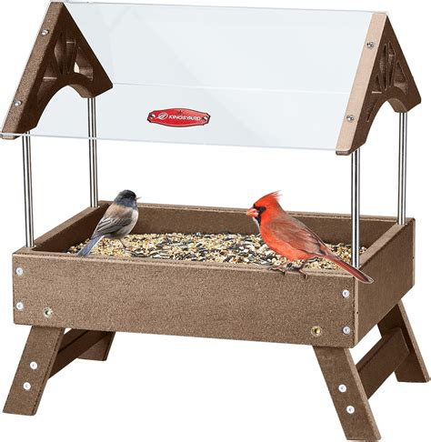 Amazon.com : Kingsyard Ground Bird Feeder for Outdoors - Recycled ...