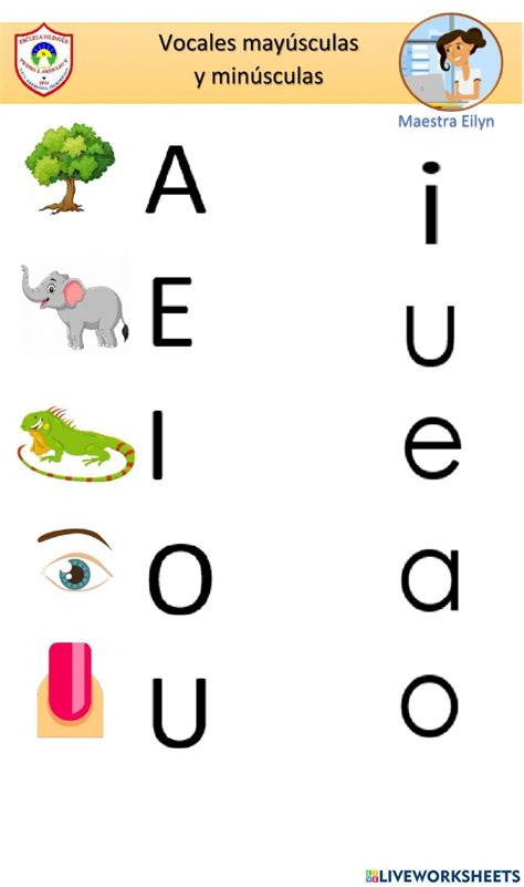 Image result for Operators Code C