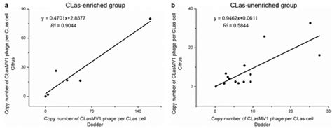 IJMS | Special Issue : Advances in the Study of Phage–Host Interactions