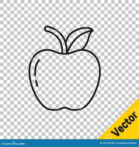 Design Icon Transparent Background 的图像结果