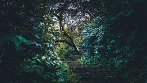 Korigad Fort Trek 2025 | Korigad trek | Adventure Geek