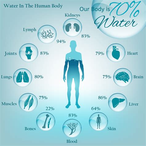 Importance Of Water Facts at Jake Congreve blog