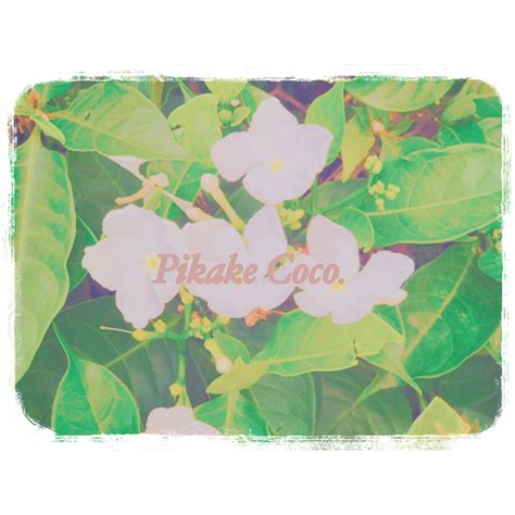 フットケア専門店Pikake Coco.-ﾋﾟｶｹｺｺ-