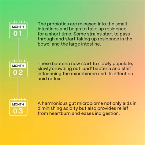 Acidity Aid – thegoodbug