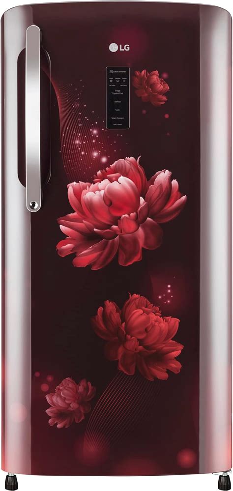 LG 204 L 4 Star Direct-Cool Inverter Single Door Refrigerator (??GL ...