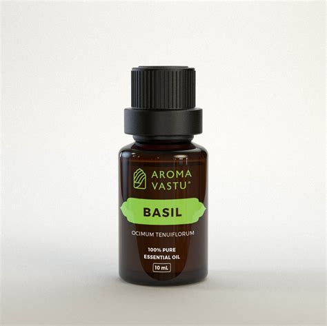 Basil Pure Essential Oil | 100% Natural | Herbal, Refreshing & Clarify ...