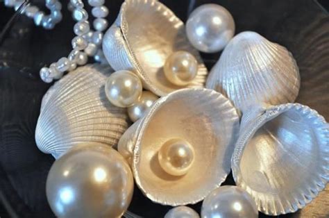 Image result for Pearly Shells Lesson