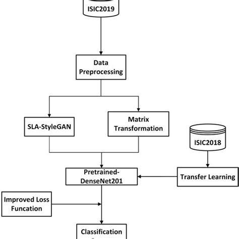 Classification Model 的图像结果