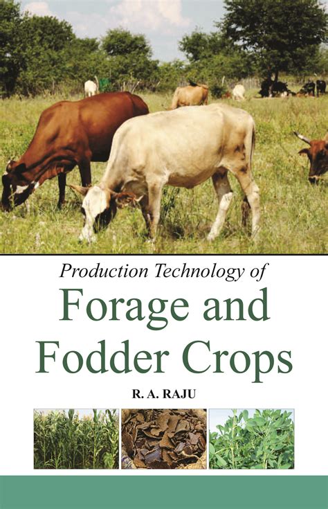 Production Technology of Forage and Fodder Crops - Indian books and ...