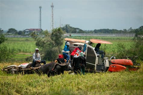 Philippines’ food security emergency falls short, say peasant groups - LiCAS.news | Light for ...