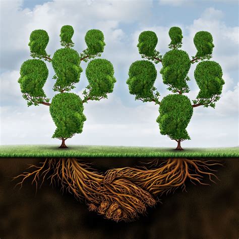 Can Plants Communicate With Each Other: The Silent Language Of Trees