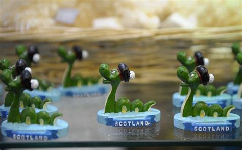 By Collecting Water Samples, This Scientist Hopes To Find Mythic Loch ...