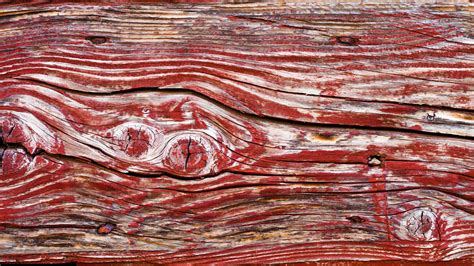 Passover as a Sanctifying Ritual