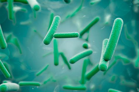 PTCB Guide to Macrolide Antibacterials l PTCB Test Prep