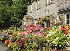 Australian Cottage Garden by Creating A Quaint Cottage Garden Domain Australian Cottage Garden