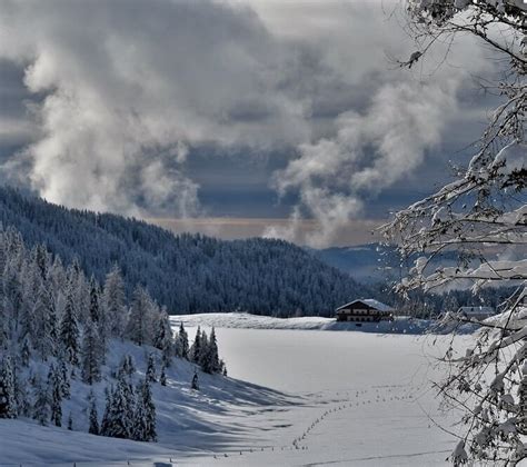 Ciaspole - Lago di Calaita - Malga Grugola - PRIMIERO SAN MARTINO DI CASTRO