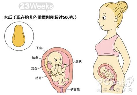 孕30周发生“早产”，病因又是“同房”？