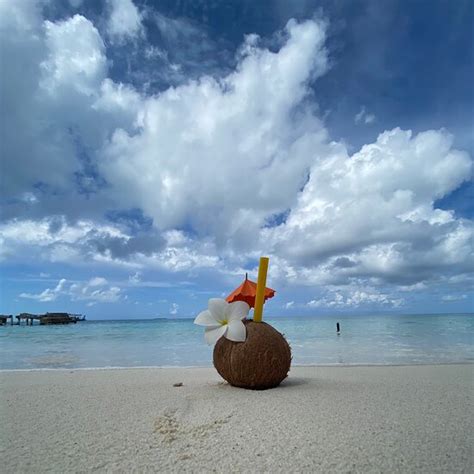 The Best Mandhoo Beach Hotels 2025 (with Prices) - Tripadvisor