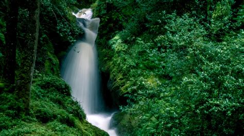 Download wallpaper 1920x1080 waterfall, splashes, stones, grass, moss ...