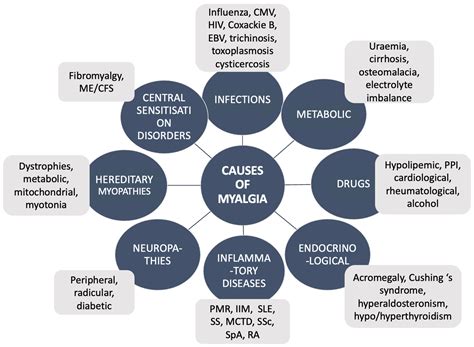 Drug-Induced Myopathies: A Comprehensive Review and Update