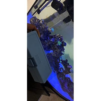 Buy AUTOUTLET Salinity Refractometer Saltwater Aquarium for Seawater ...