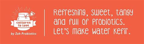 Zoh Probiotics' Kefir Cultures To Love Live Water Kefir Grains | 25 G ...