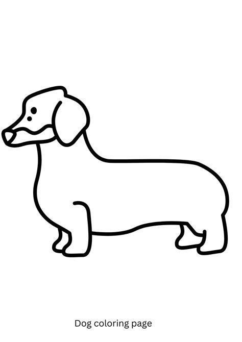 Weiner dog coloring page – Kidsversuscopy.com