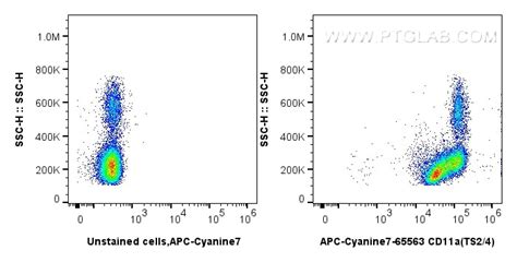 CD11a antibody (AY7-65563) | Proteintech