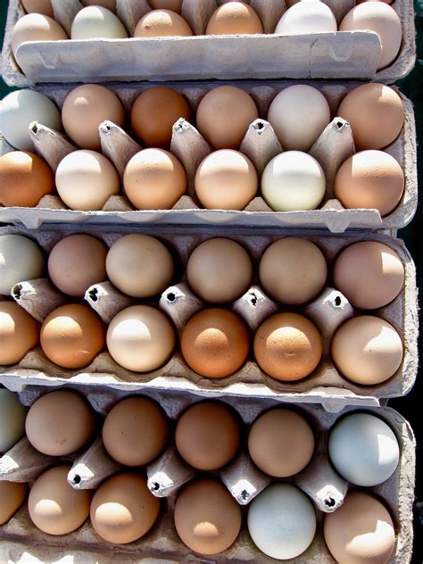 Napa Farmers Market | Napa's Community Market